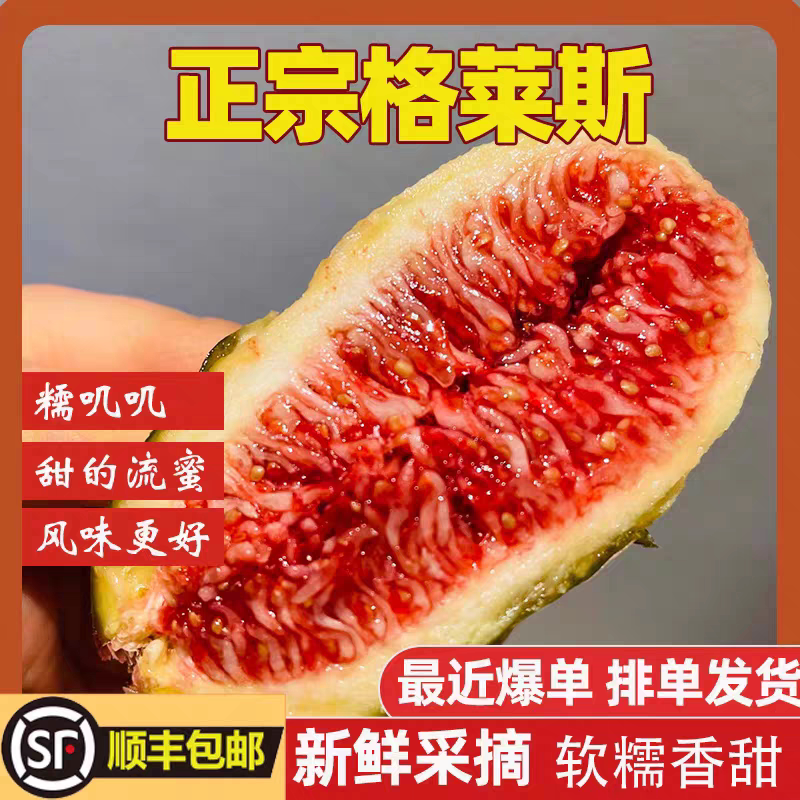 正宗特级云南格莱斯无花果当季新鲜现摘树上熟糖包子顺丰包邮水果