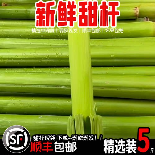 【顺丰】甜杆 新鲜甜杆崇明甜芦粟高粱杆甜杆 崇明甜芦粟红心甜杆