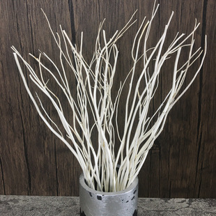 批发|香薰藤条柳枝 天然藤树龙柳枝 尺寸可订无烟香薰扩香棒