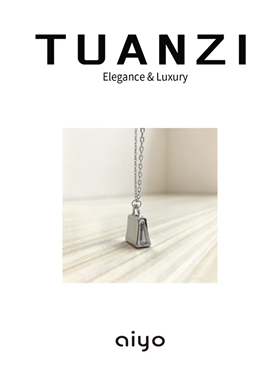 【TUANZI的首饰】轻奢高级感小锁头项链小众百搭锁骨链