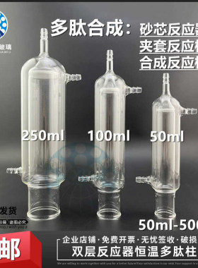 砂芯反应器多肽固相合成反应管