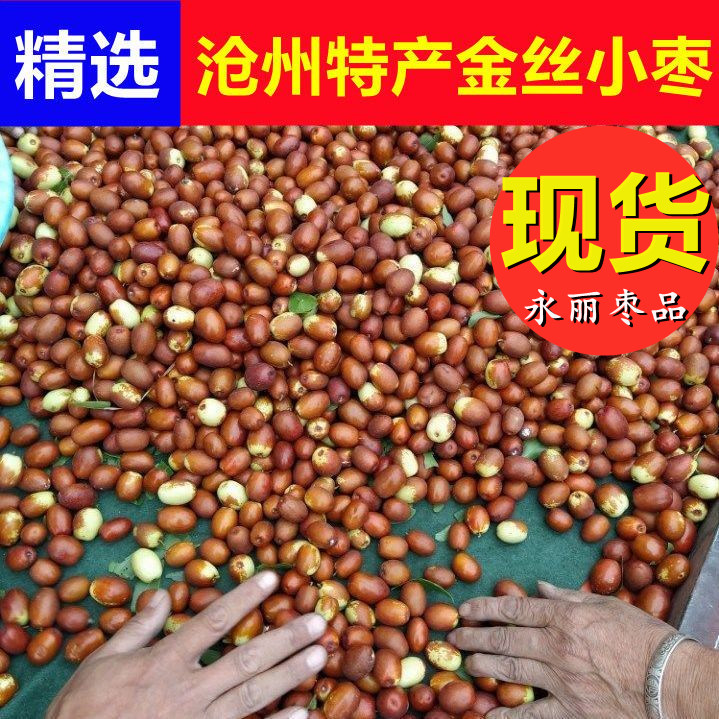沧州金丝小枣新鲜脆甜河北特产现摘特级大果非乐陵金丝小枣鲜红枣