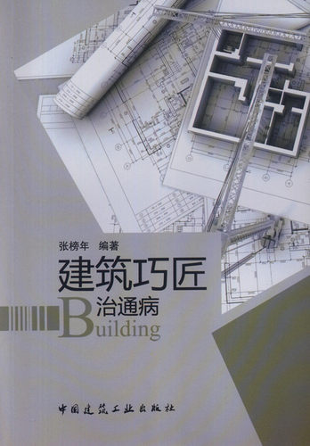 建筑巧匠治通病 地基与基础局部处理 主体施工 装饰装修 防水施工以及水电安装 张榜年 编著 中国建筑工业出版社