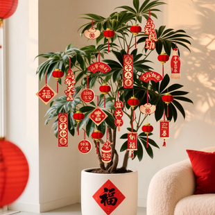 新年盆栽绿植挂件小灯笼装饰品2026过年马年树上挂饰春节氛围布置