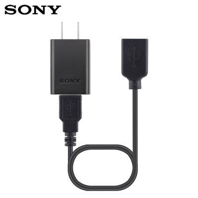 SONY索尼原装DV摄像机充电器