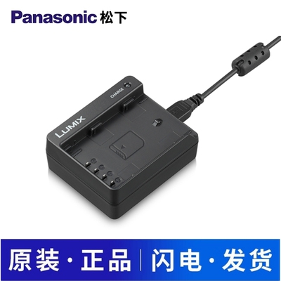 原装松下DMW-BLF19USB充电器