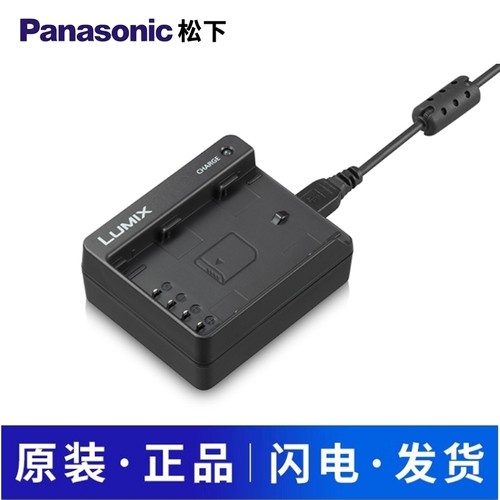 原装松下DMW-BLF19USB充电器