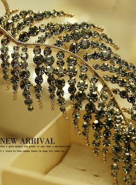 XZ675亮黑钻大羽毛合成水晶胸针女高档气质胸花别针西装配饰潮新