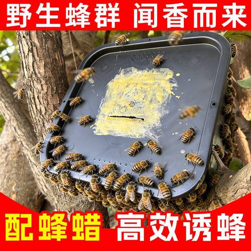 18升诱蜂神器蜜蜂桶加厚带盖诱蜂桶野外涂好蜂蜡黑桶旧桶招蜂磨砂