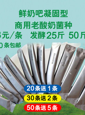 商用菌粉发酵菌种固体老酸奶菌