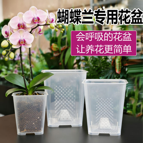 透明树脂方口细孔透气蝴蝶兰花盆