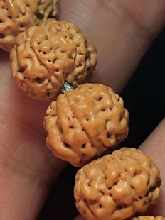 深清矮桩印尼鬼脸双龙纹梅花桩小金刚铁籽108手串佛珠男女士文玩