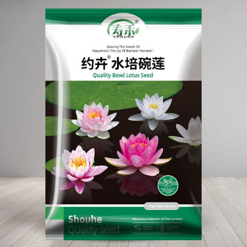 水培睡莲盆栽花卉种孑寿禾