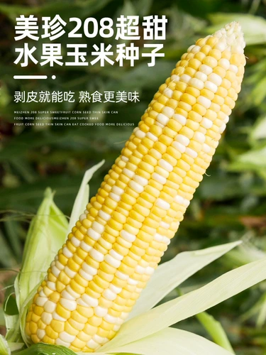 Мейжэн 208 РАННЕГО РАННЕГО СЕЛИЧЕСКИЕ СЕЛИЧЕСКИЕ СЕМЕНТЫ Кукурузы Сладкие семена липкие четыре сезона высокая доходность очень большое золото и серебряное молоко конфеты молока