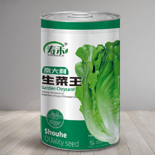 寿禾春秋意大利生菜王种子