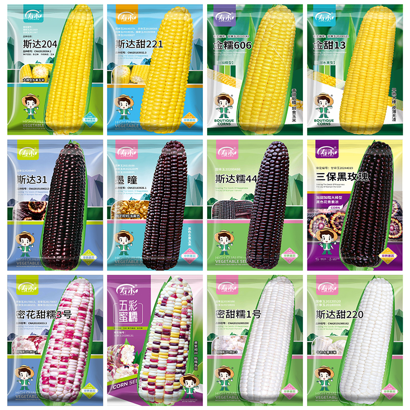 超甜水果玉米种籽甜玉米种子大全子粘黏香彩糯黑四季甜糯白孑黑糯