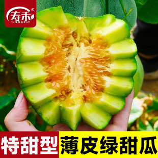 綠寶石甜瓜種子種籽孑苗綠寶羊角蜜甜寶秧香瓜博洋9號秧苗大全