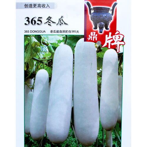 鼎牌365冬瓜种子白皮早熟高产