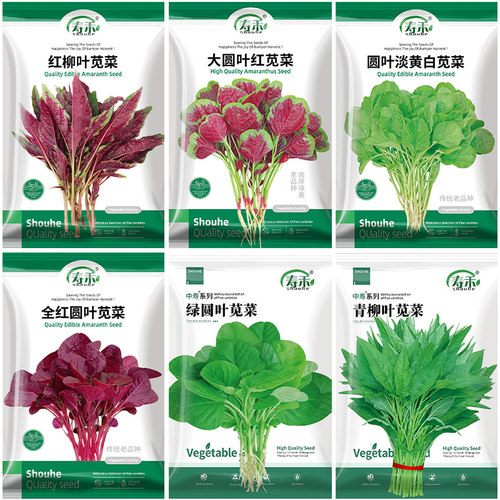 寿禾春夏蔬菜大圆叶红苋菜种子