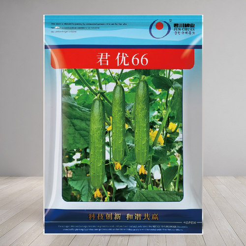 蔬菜高产秋季黄瓜种子