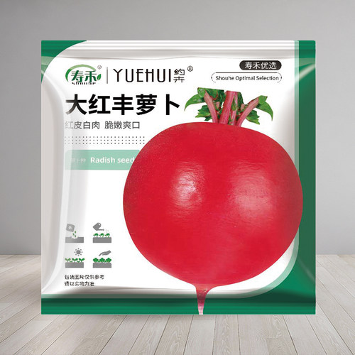 蔬菜种子特大四季盆栽樱桃萝卜