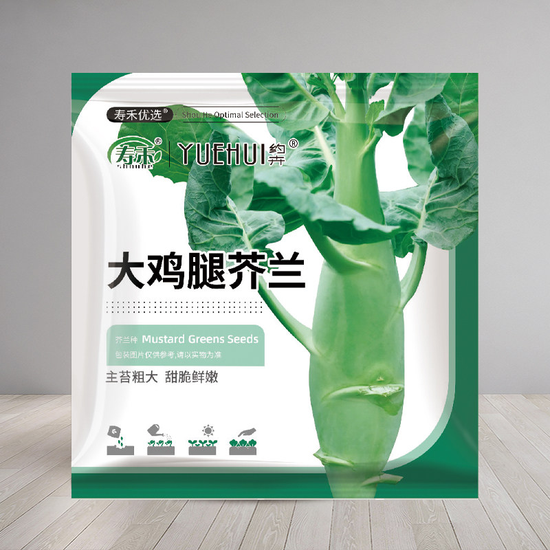 甜脆鸡腿芥蓝种子粗条籽芥兰广东四季菜籽大菜秋季蔬菜种籽老品种