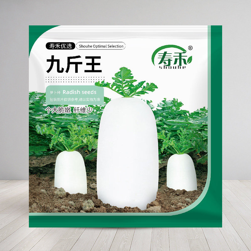 寿禾蔬菜种子九斤王特大白萝卜图片