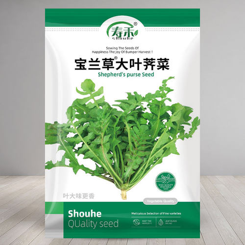 宝兰草大叶荠菜种子种籽孑蒲公英青菜菜籽荠荠菜荆芥菜苗大全