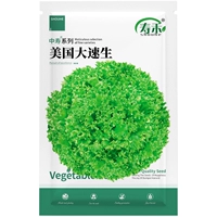 Светло -зеленый Zhongshou® American Speed ​​Speed ​​10G/сумка