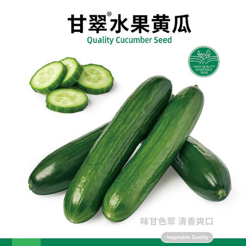 寿禾夏季盆栽甘翠水果黄瓜种子