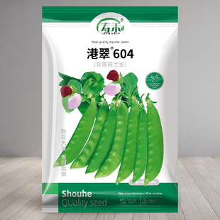 甜蔬菜豌豆种籽孑籽种莱蚕豆菜籽 港翠604软荚荷兰豆种籽种子四季