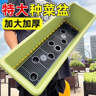 蔬菜种植盆家用种菜盆阳台种菜专用长方形塑料盆加厚耐用大盆长条