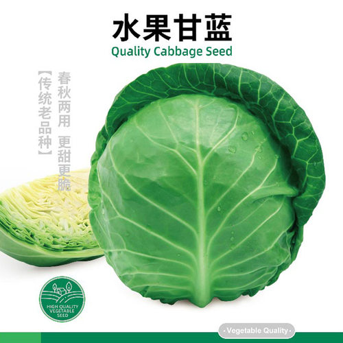 寿禾卷心菜包菜水果甘蓝种子