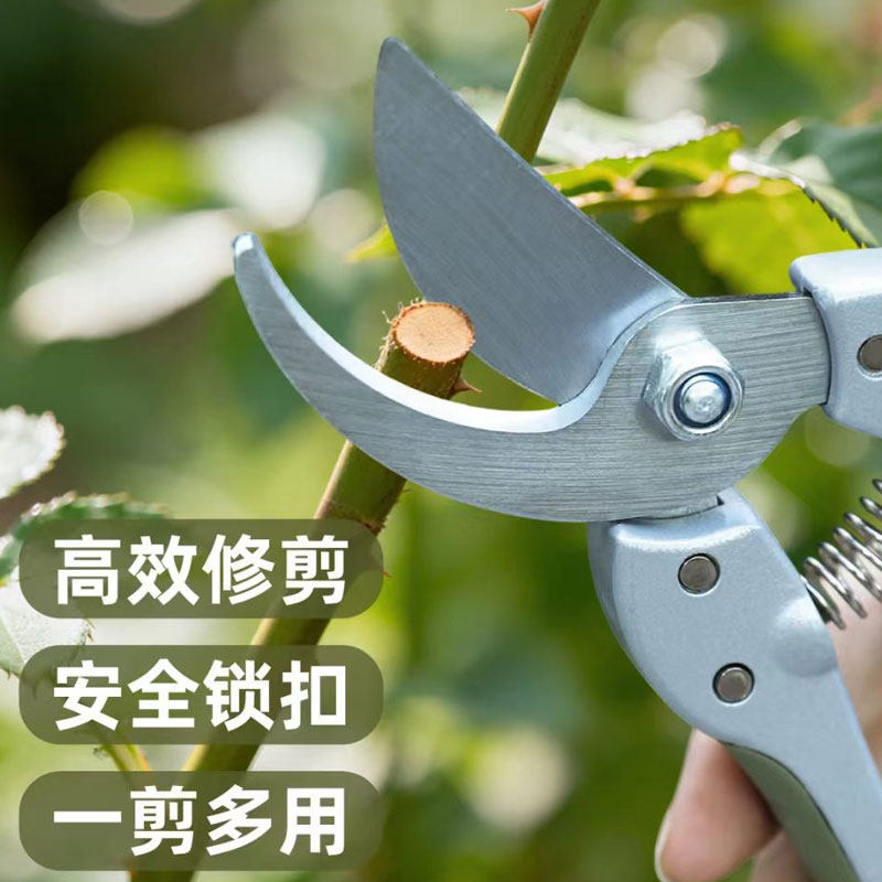 剪树枝专用剪刀园艺剪枝图片