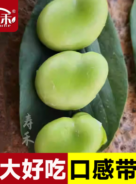 北斗七星大蚕豆种籽种子特大高产农家蔬菜大全本地日本蔬莱孑菜籽