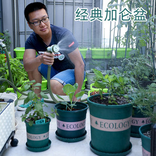 塑料矮胖特大种菜盆阳台种植家庭 二代加厚加仑花盆清仓 室内养花