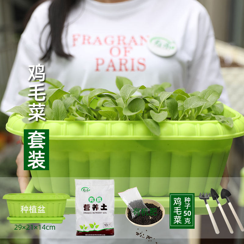 盆栽樱桃萝卜蔬菜种子种籽阳台四季香菜孑小白菜生菜荆芥香葱葱种,鲜花速递/花卉仿真/绿植园艺,家庭园艺种子,淘宝优惠券,粉丝福利购,淘宝优惠卷