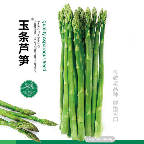 寿禾四季种植高产玉条芦笋种子