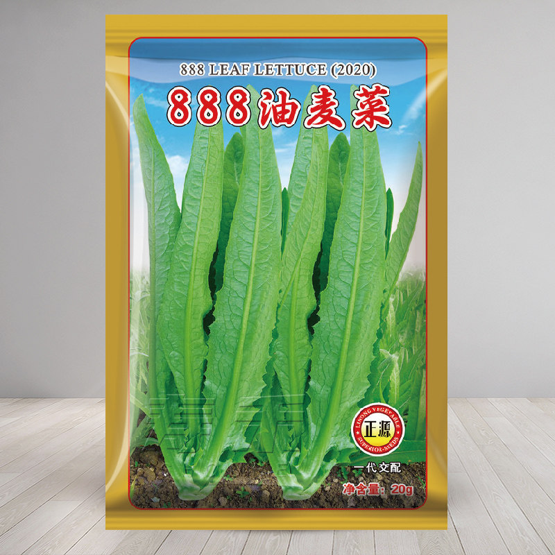 无斑油麦菜种子种籽仔孑蔬菜无斑点籽种阳台四季冬季菜种盆栽菜籽,鲜花速递/花卉仿真/绿植园艺,家庭园艺种子,淘宝优惠券,粉丝福利购,淘宝优惠卷