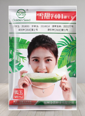 雪甜7401珍珠牛奶白水果玉米种子玉米种籽苞米春秋四季播玉米种孑