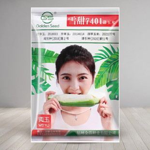 雪甜7401珍珠牛奶白水果玉米种子玉米种籽苞米春秋四季播玉米种孑