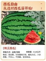 Арбуз красный ленивый арбуз саженцы 5 деревьев