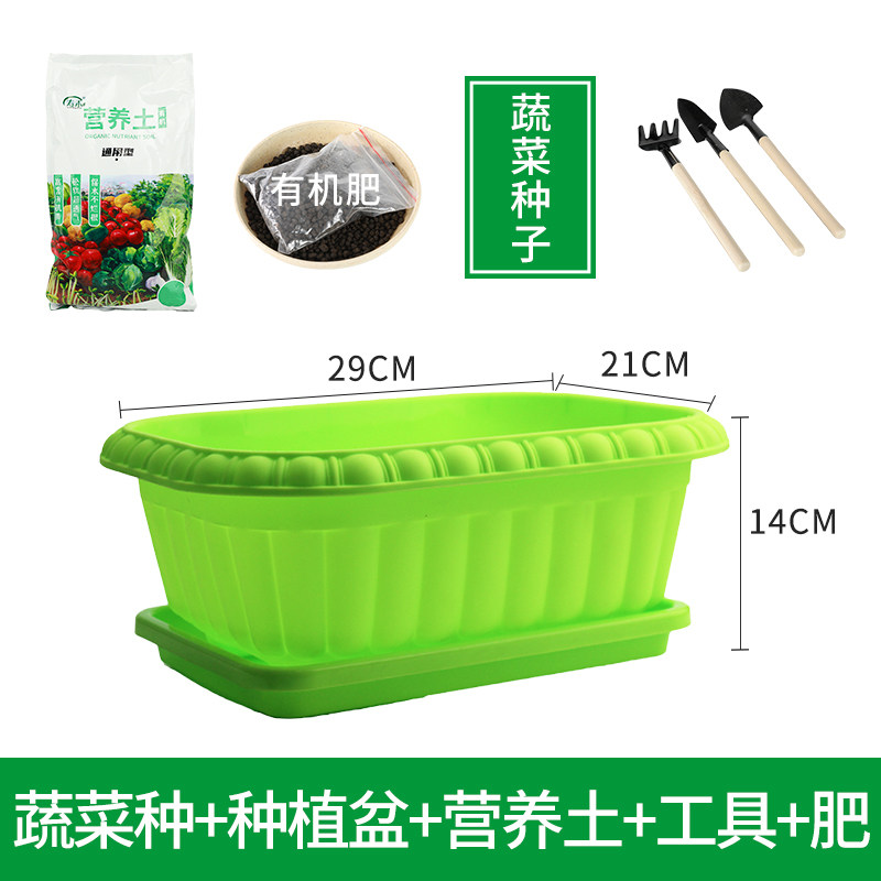 适合冬天种的菜种子籽盆栽套装耐寒鸡毛菜香菜葱头蔬菜籽种孑大全