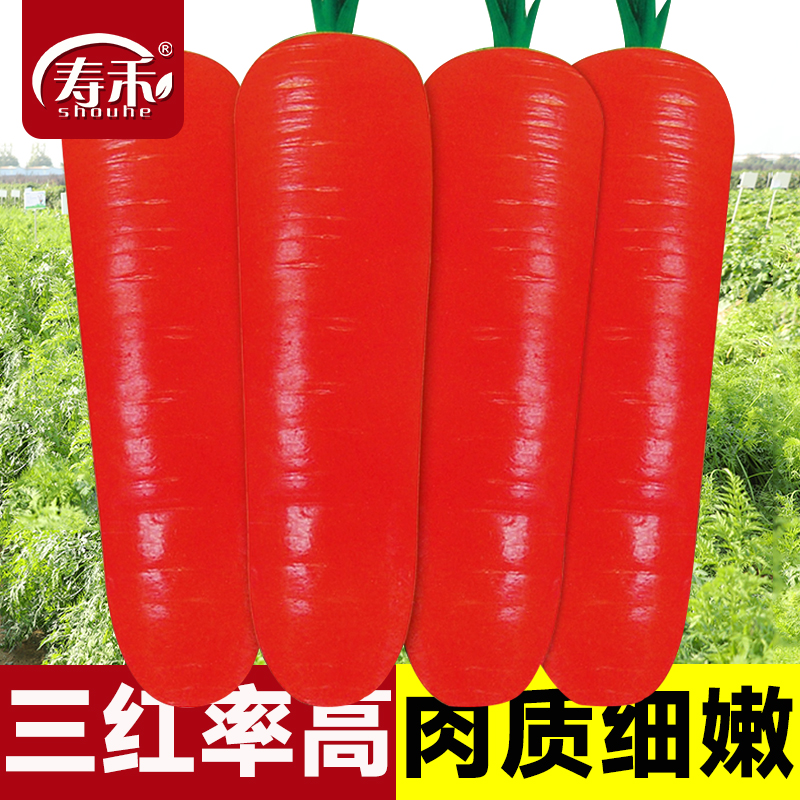 黑五寸胡萝卜种子种籽水果夏季春秋季拇指胡罗卜籽种蔬菜种孑菜种