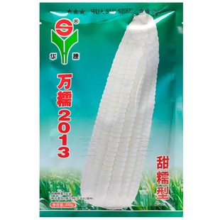 万糯2013白甜糯玉米种子甜味糯粘糯高产杂交优质特大甜玉米种籽孑
