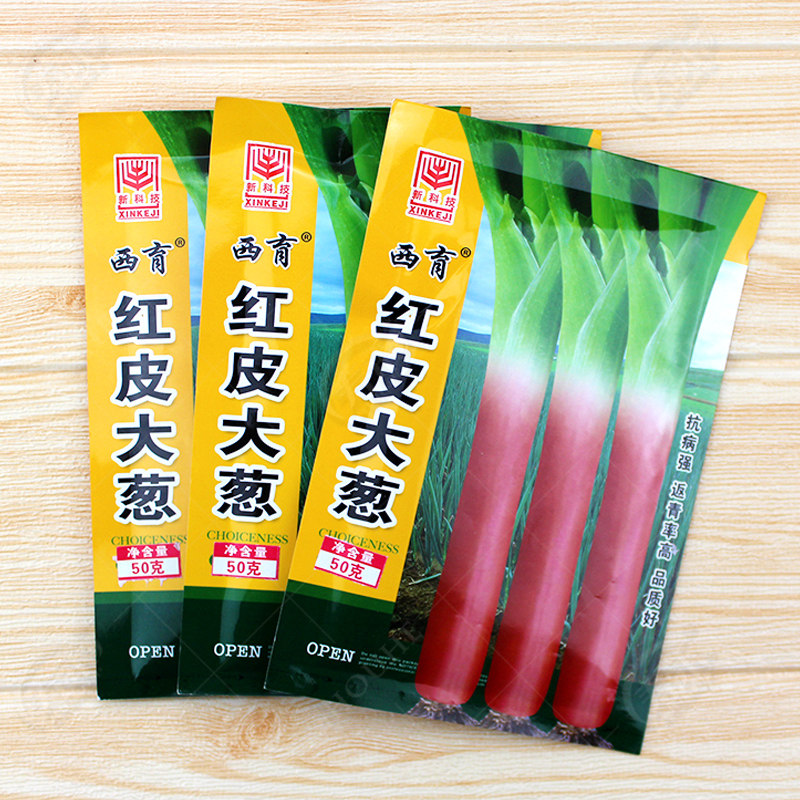 大葱种种子东北红皮大葱四季葱种子高产葱种蔬菜种籽香葱小孑