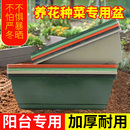 塑料花盆家用阳台种菜盆蔬菜种植神器蔬菜霍伦盆长方形长条槽