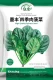 Mofeng® Four Seasons Meat Semach Seed Spinach 30G оригинал