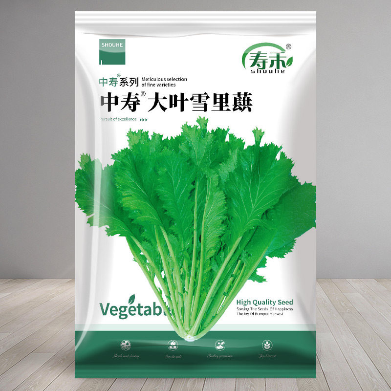 寿禾腌菜蔬菜秋季雪里蕻种子图片