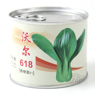 沃尔618青梗菜种子种籽上海青蔬菜孑小油菜菜种青菜籽种四季 菜籽
